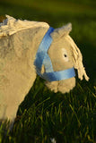 Crafty Ponies veulen halster baby blauw