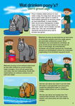 Crafty Ponies instructieboek inhoud