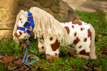 Crafty ponies halster Blauw