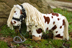 Crafty ponies halster Zwart